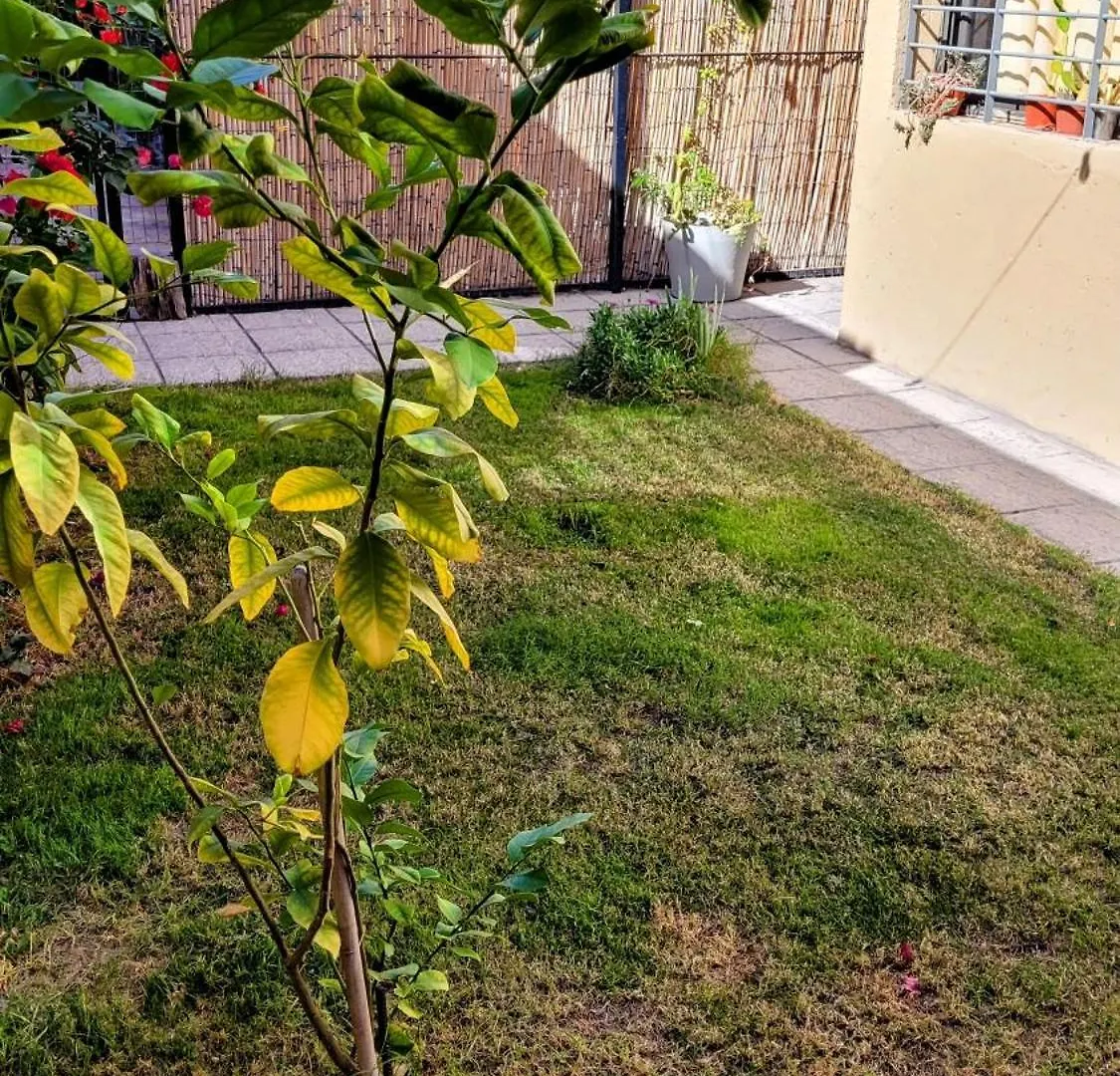 La Casita De La 5Ta Appartement Mendoza 0*,